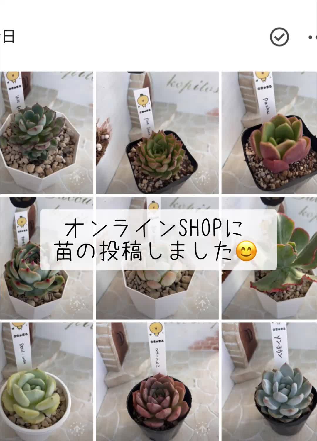 @さきゅまる～こぴとSHOP