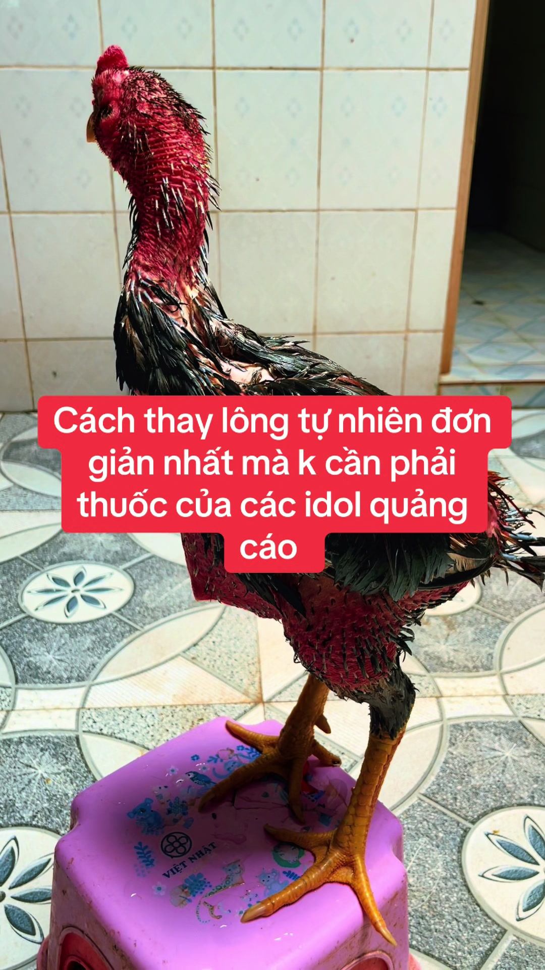 @Anh Ng&ocirc; ✅