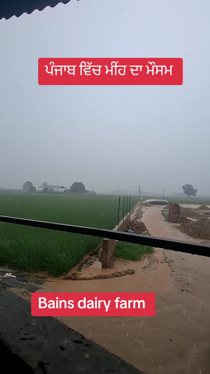 @MandeepBainspb12