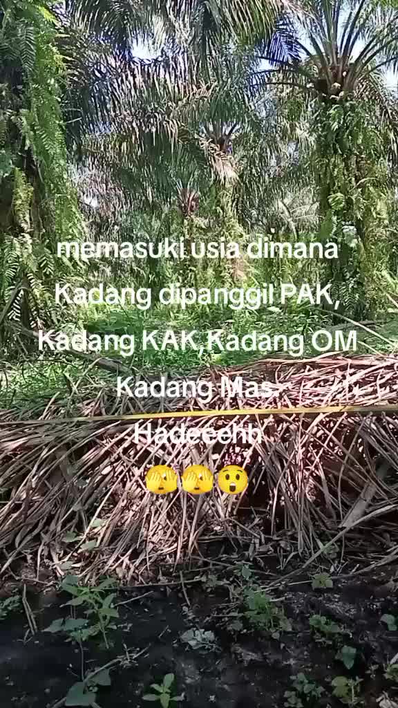 @Mandala Shoji