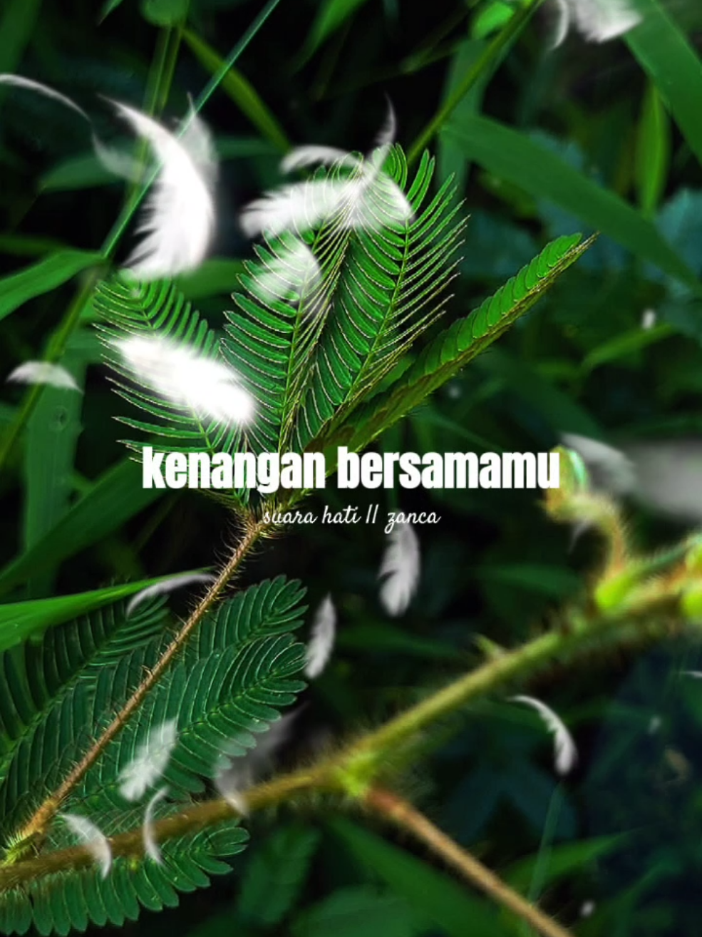 @𝗔𝘄&bull;𝗦𝘁𝗼𝗿𝘆