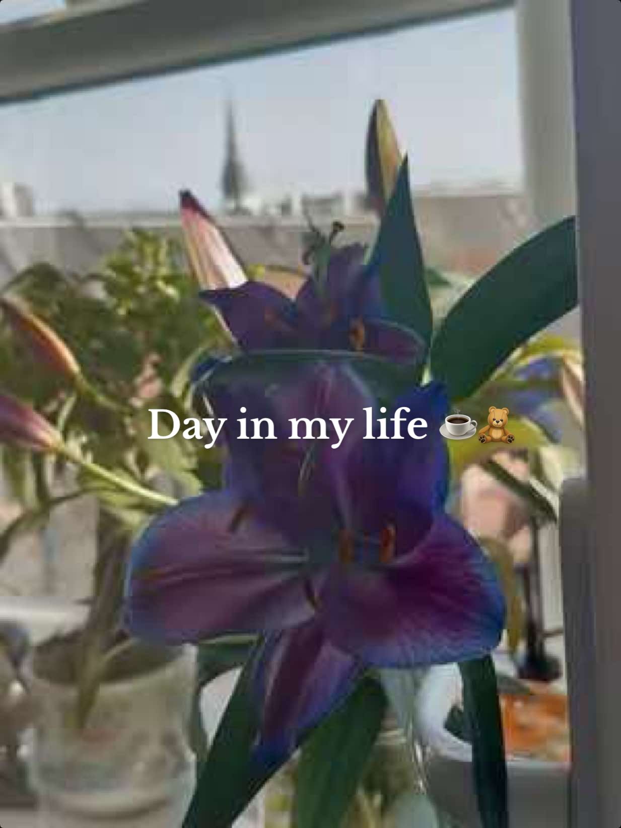 @Mbuulife