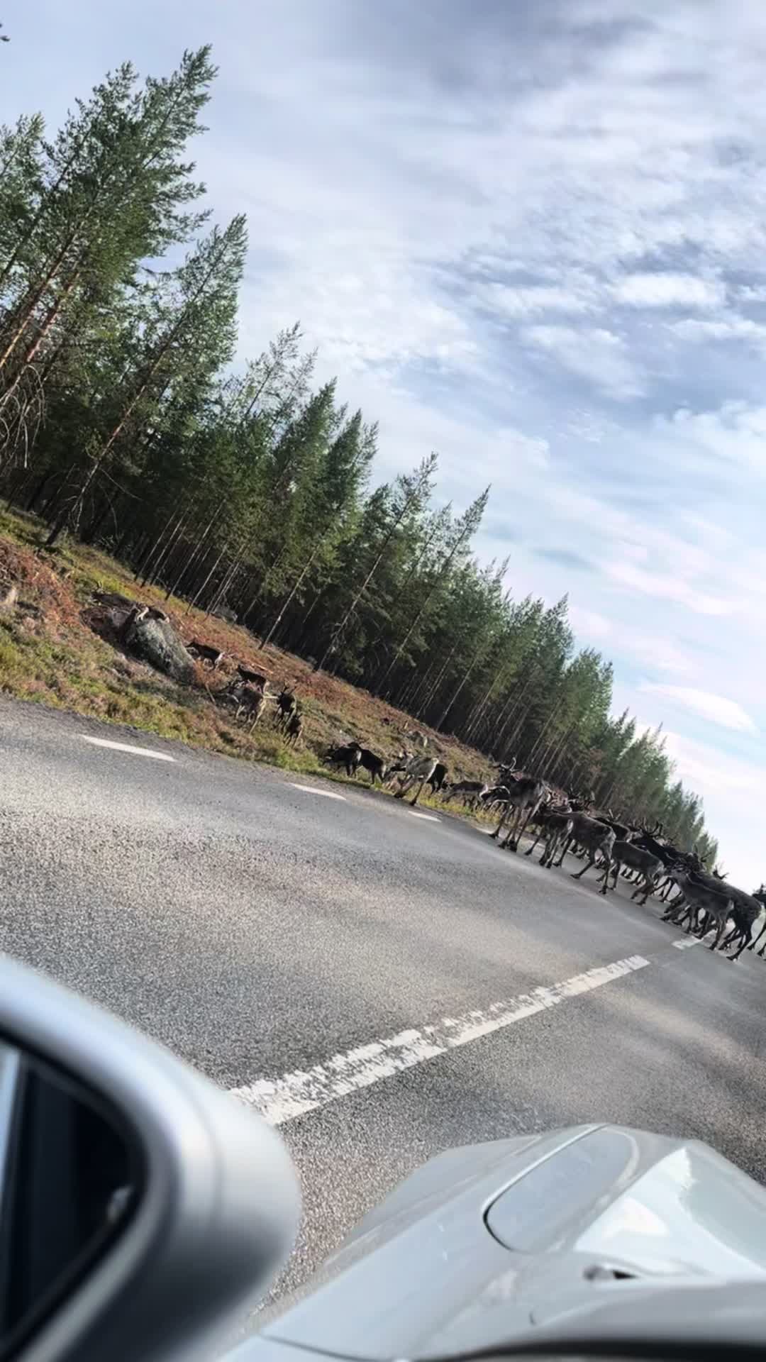 @Ört