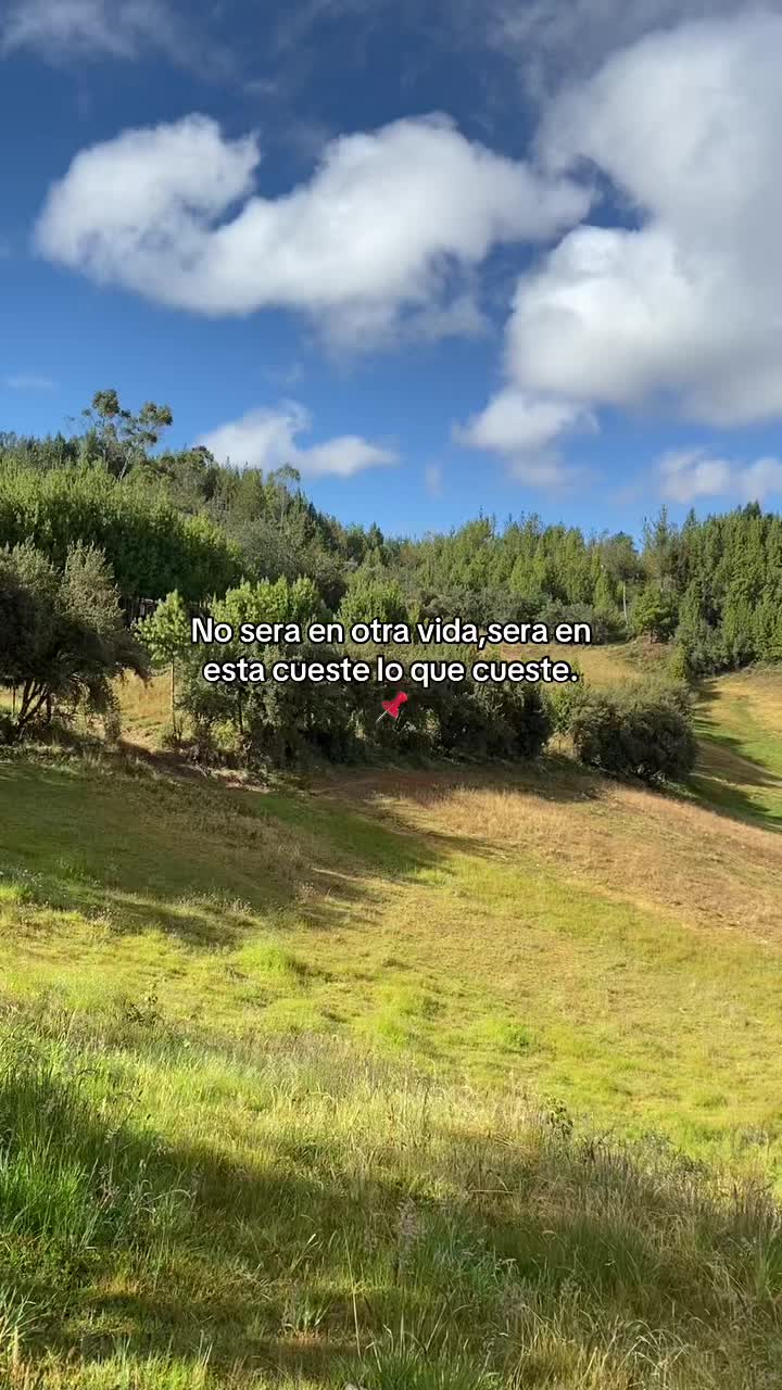 @🥝FRANCO🥝