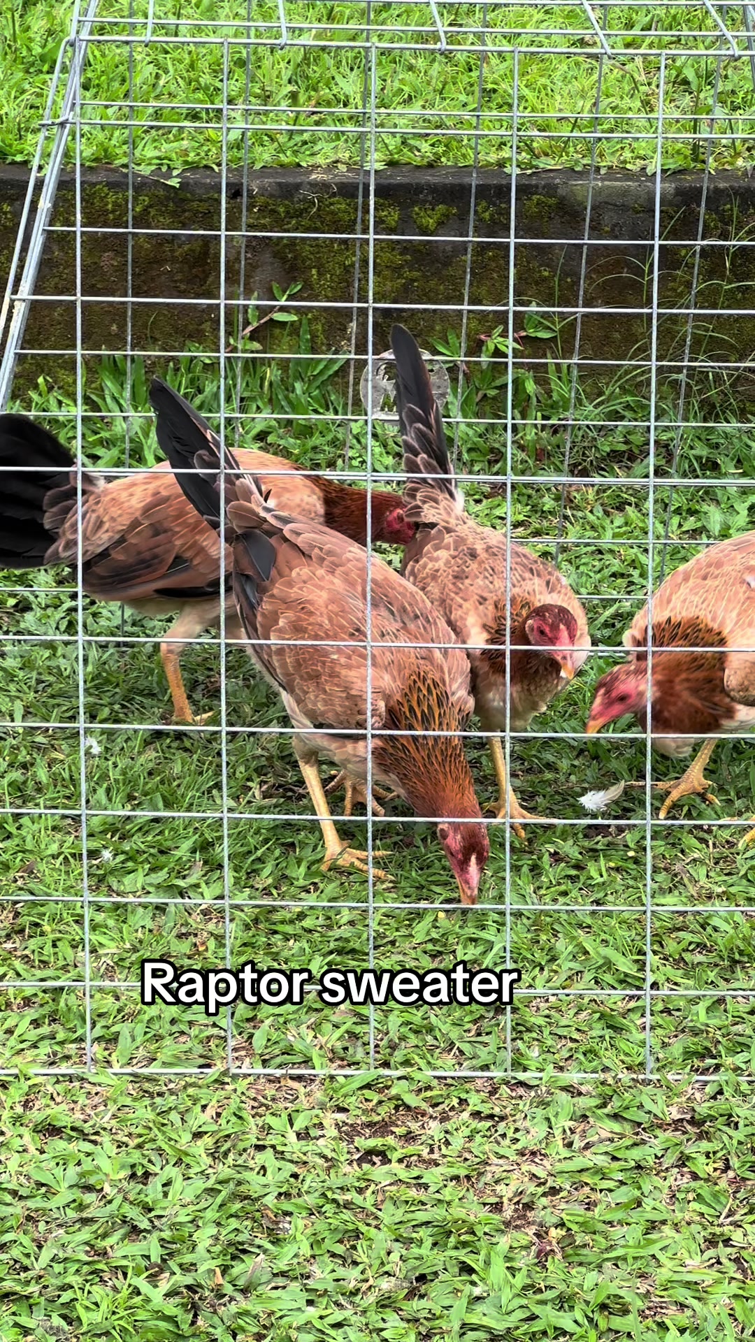 @nickgamefarm