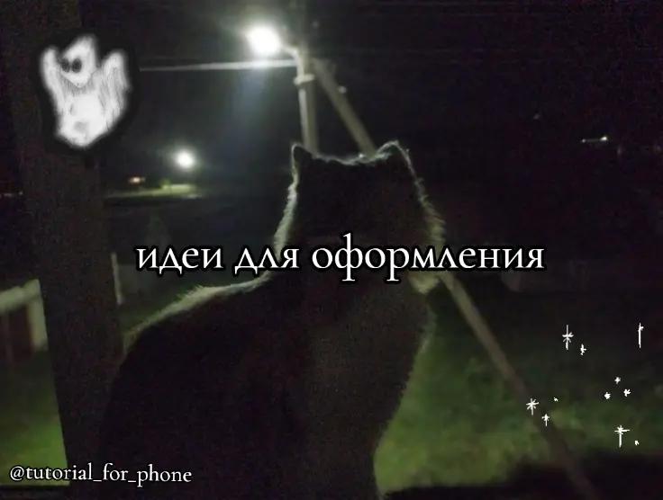 @🫶🏻♰tutorial for phone♰🫶🏻