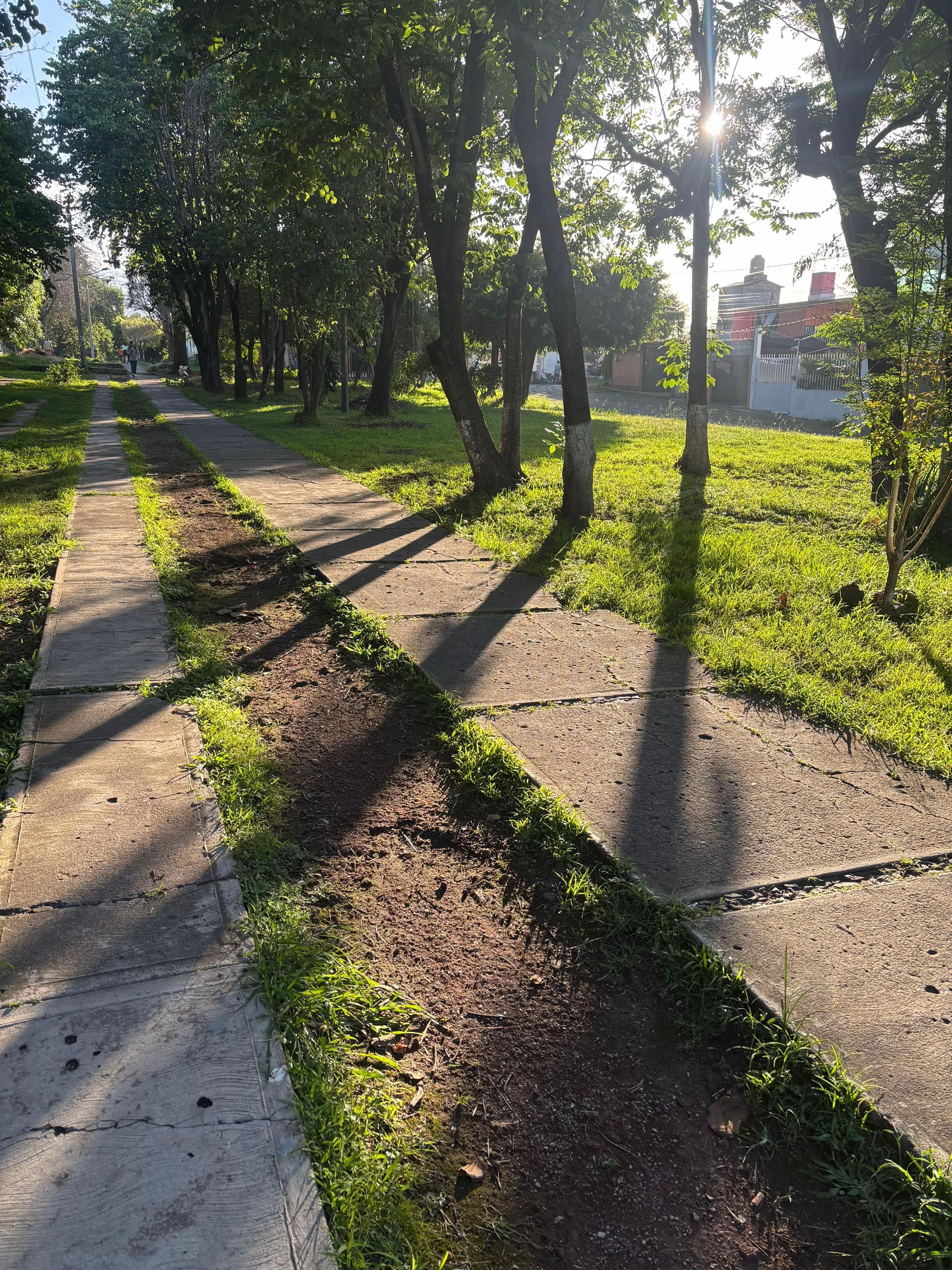 @maxi.xlvr