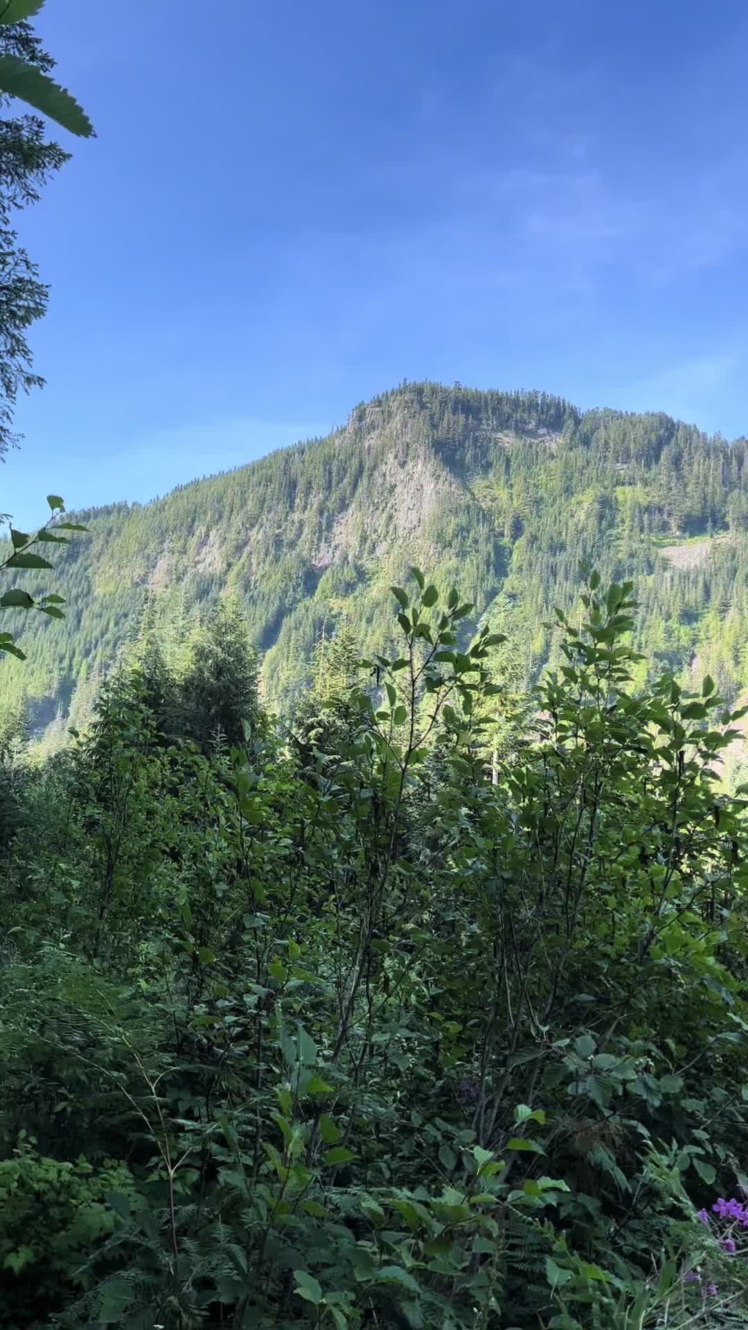 @LifeinthePNW