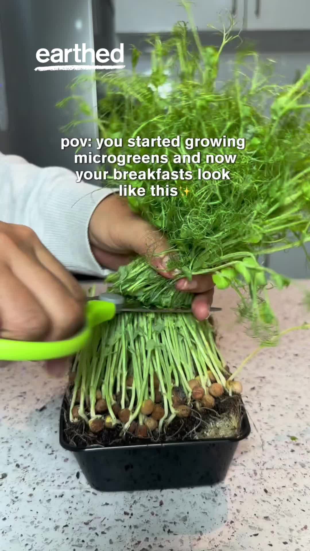 @Earthed