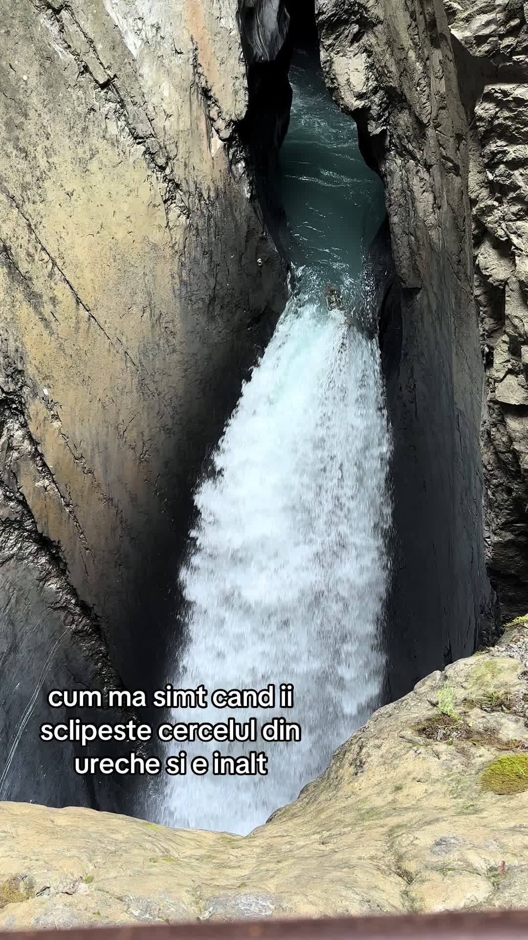 @Divele