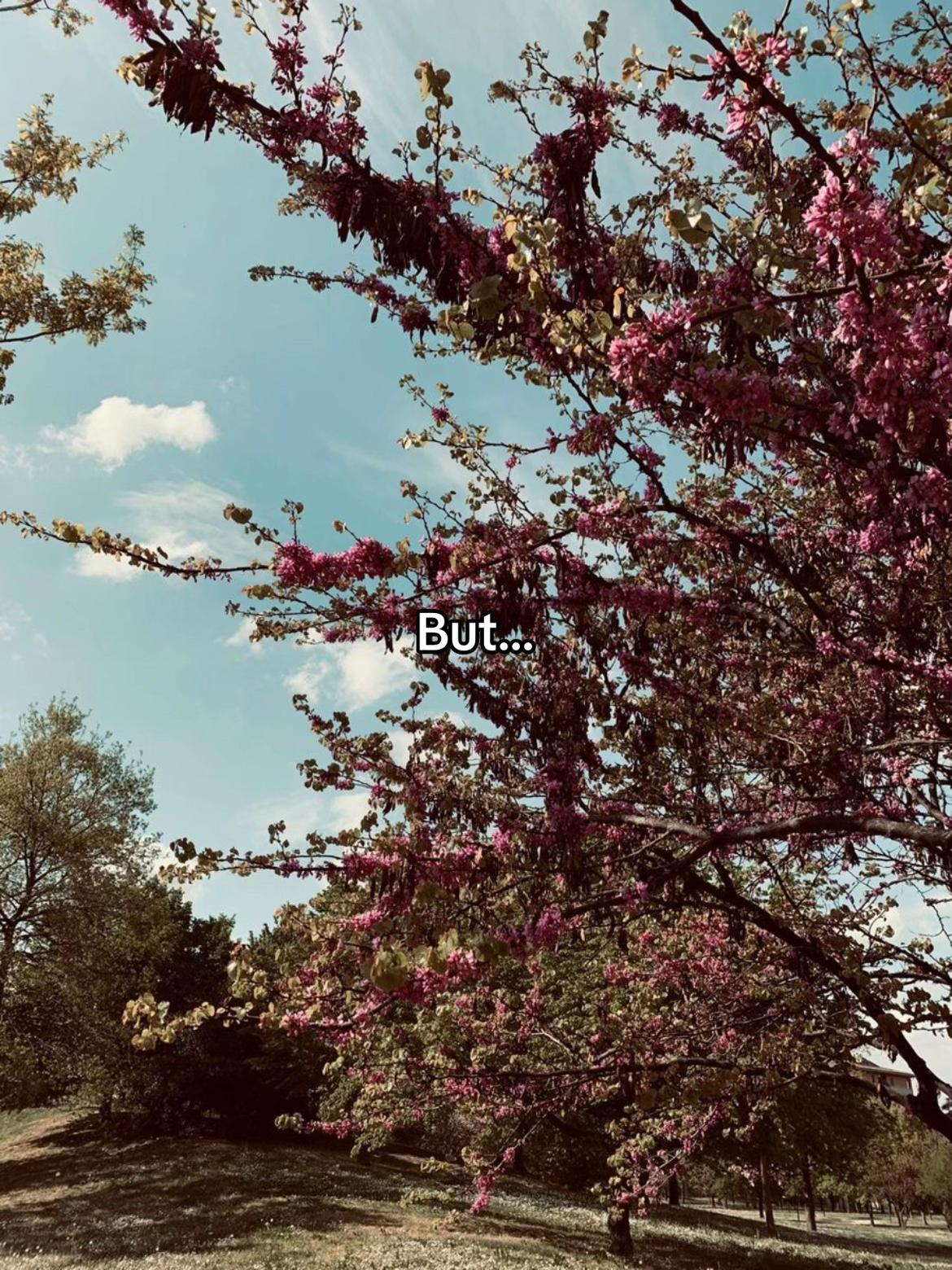 @ᴋᴇʏ (ɪᴠs ᴘᴇʏ) 💘😞