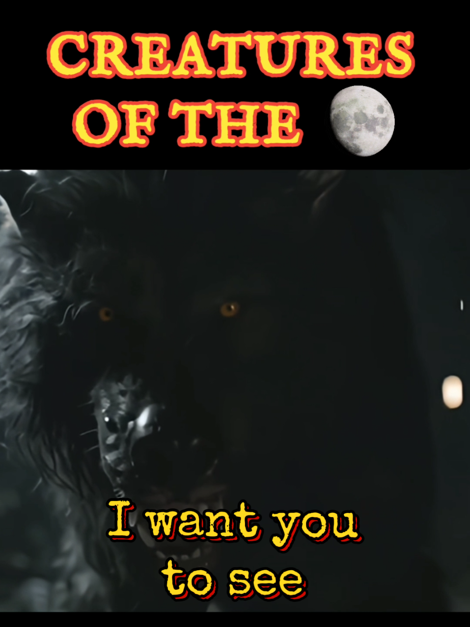 @Werewolf_Nightmares