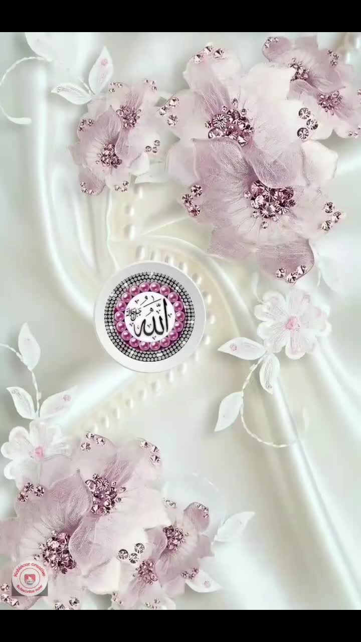 @fia2323