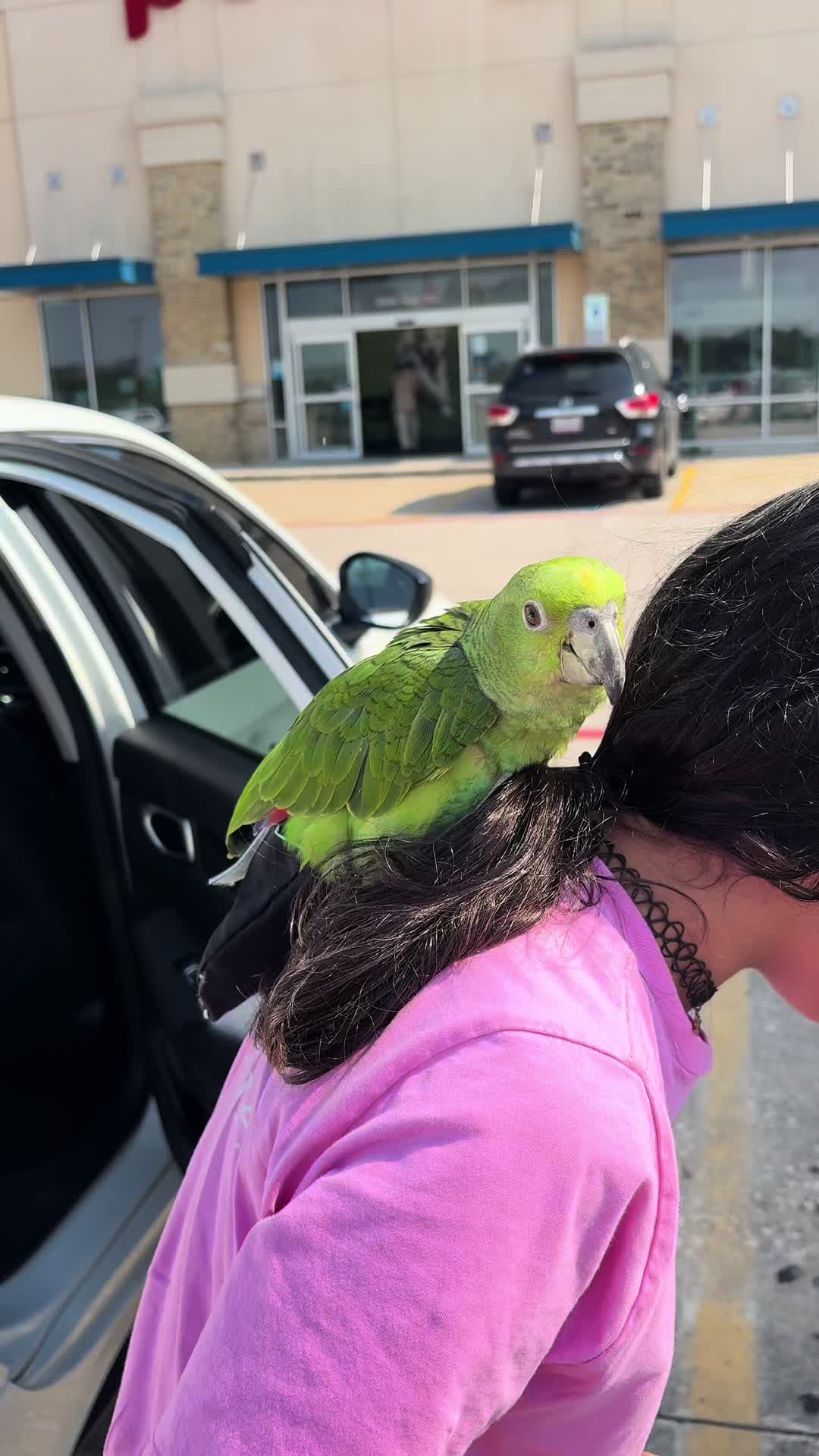 @Coco🦜
