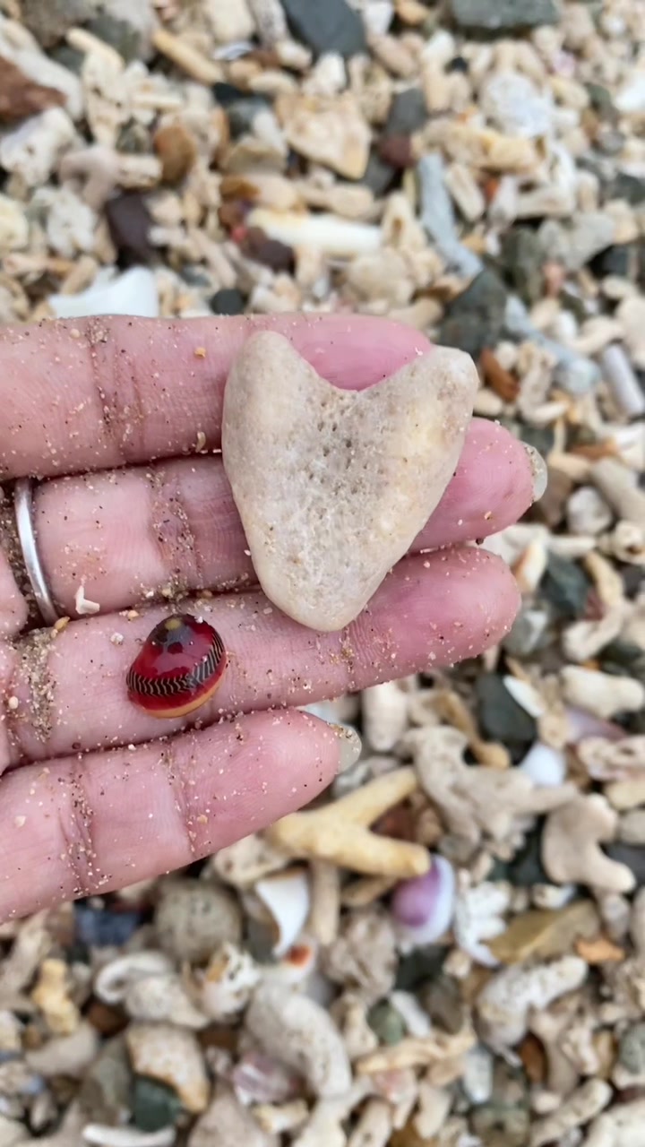 @Seaglass Goddess ღ