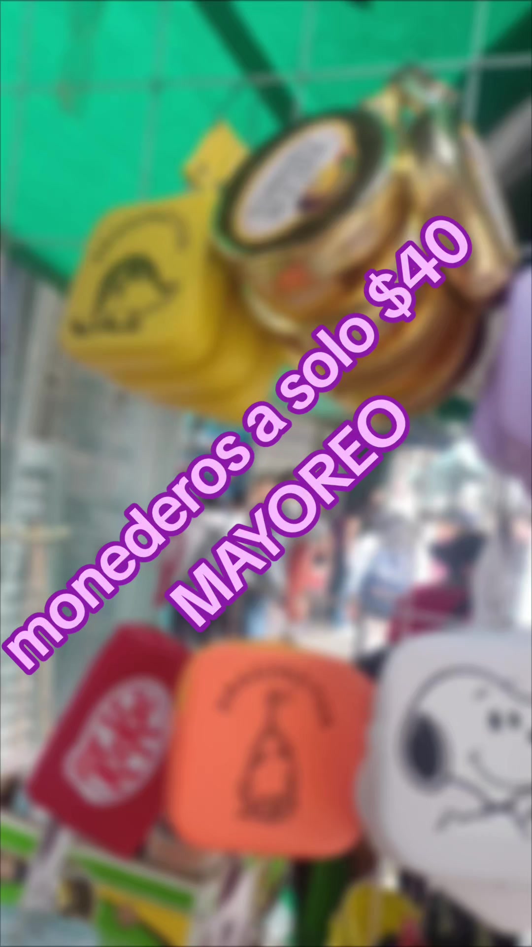 @monederolandia
