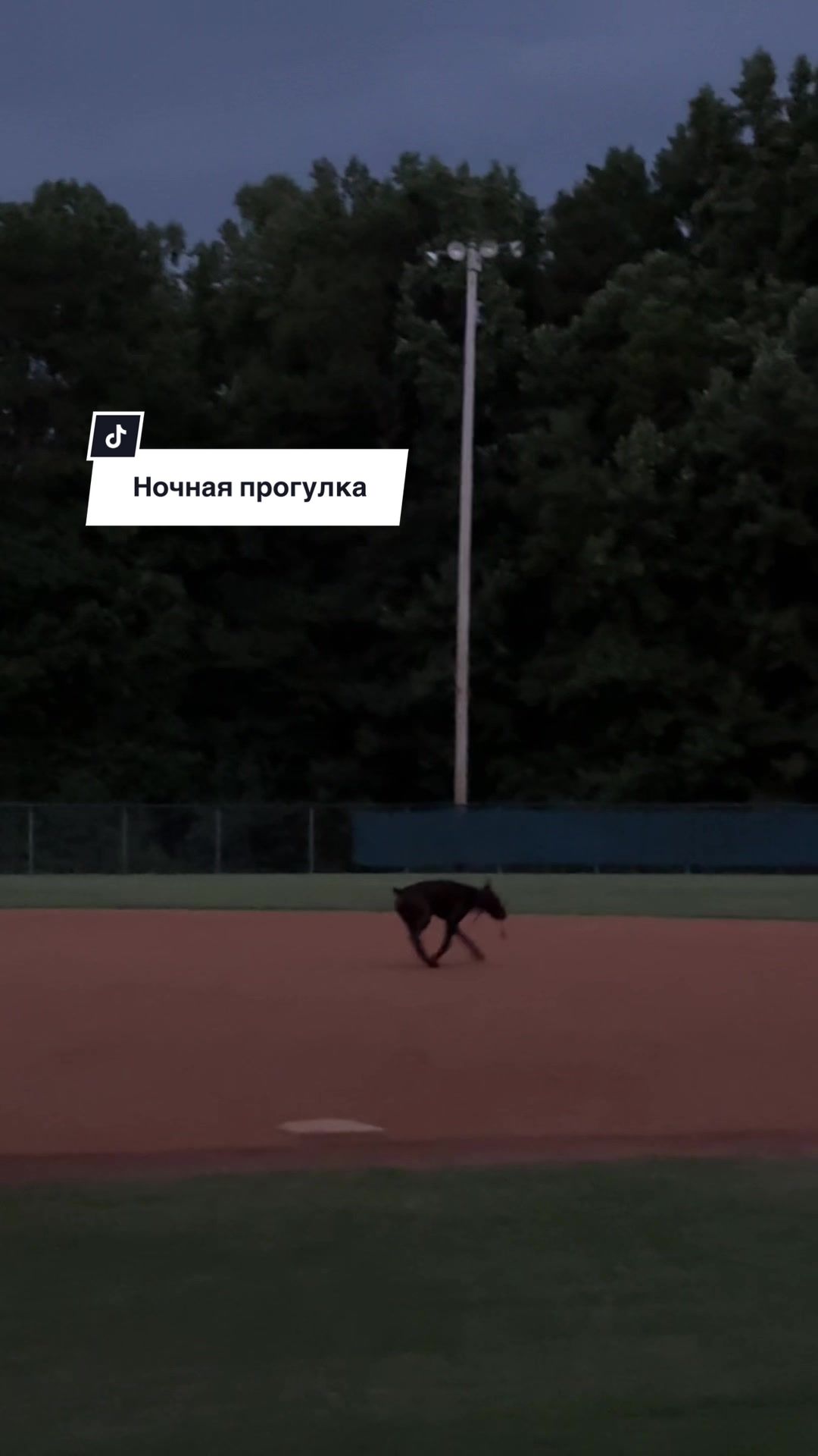 @Инна | Беркут