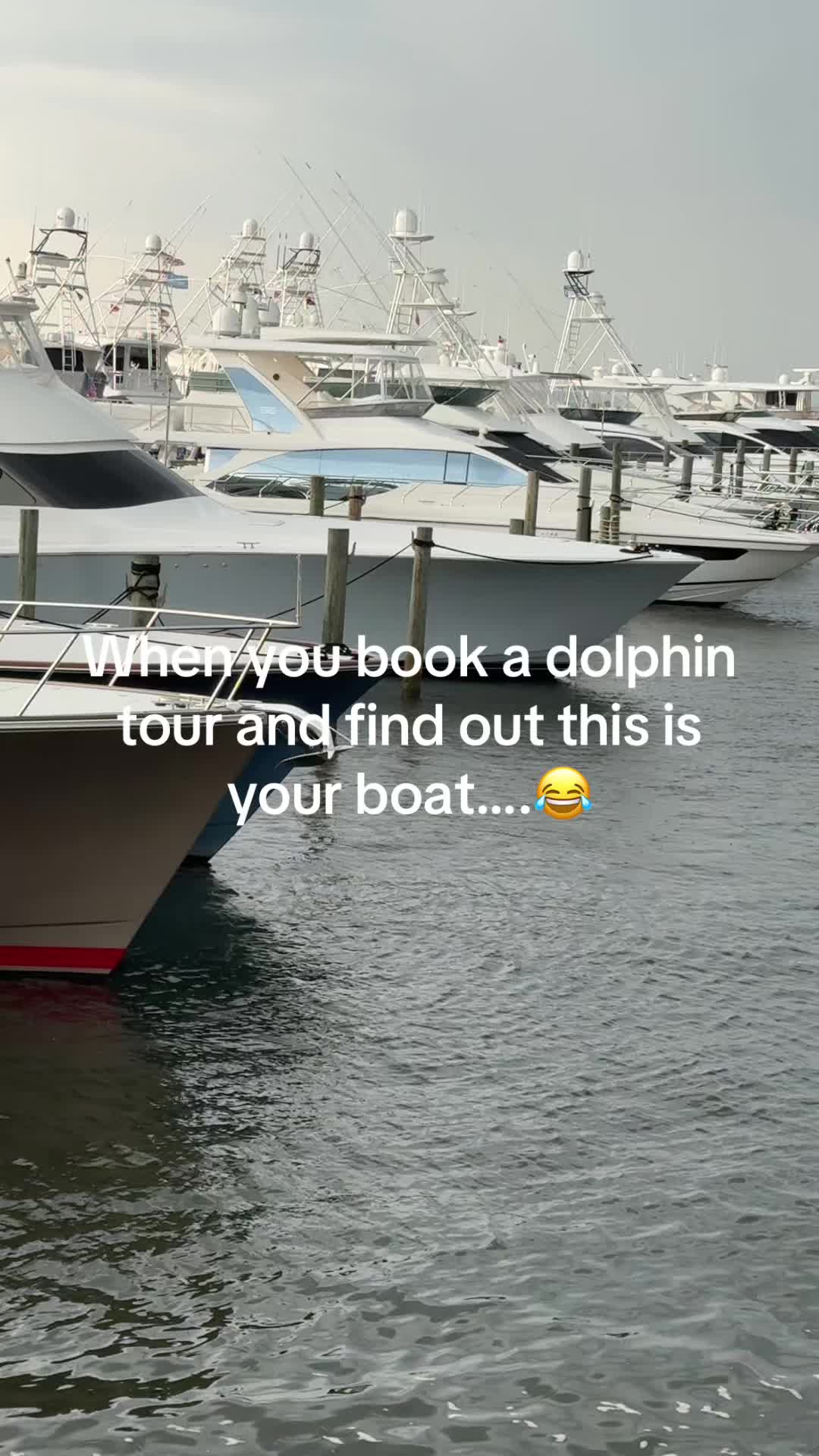 @Sarah-RN & Merch Queen!