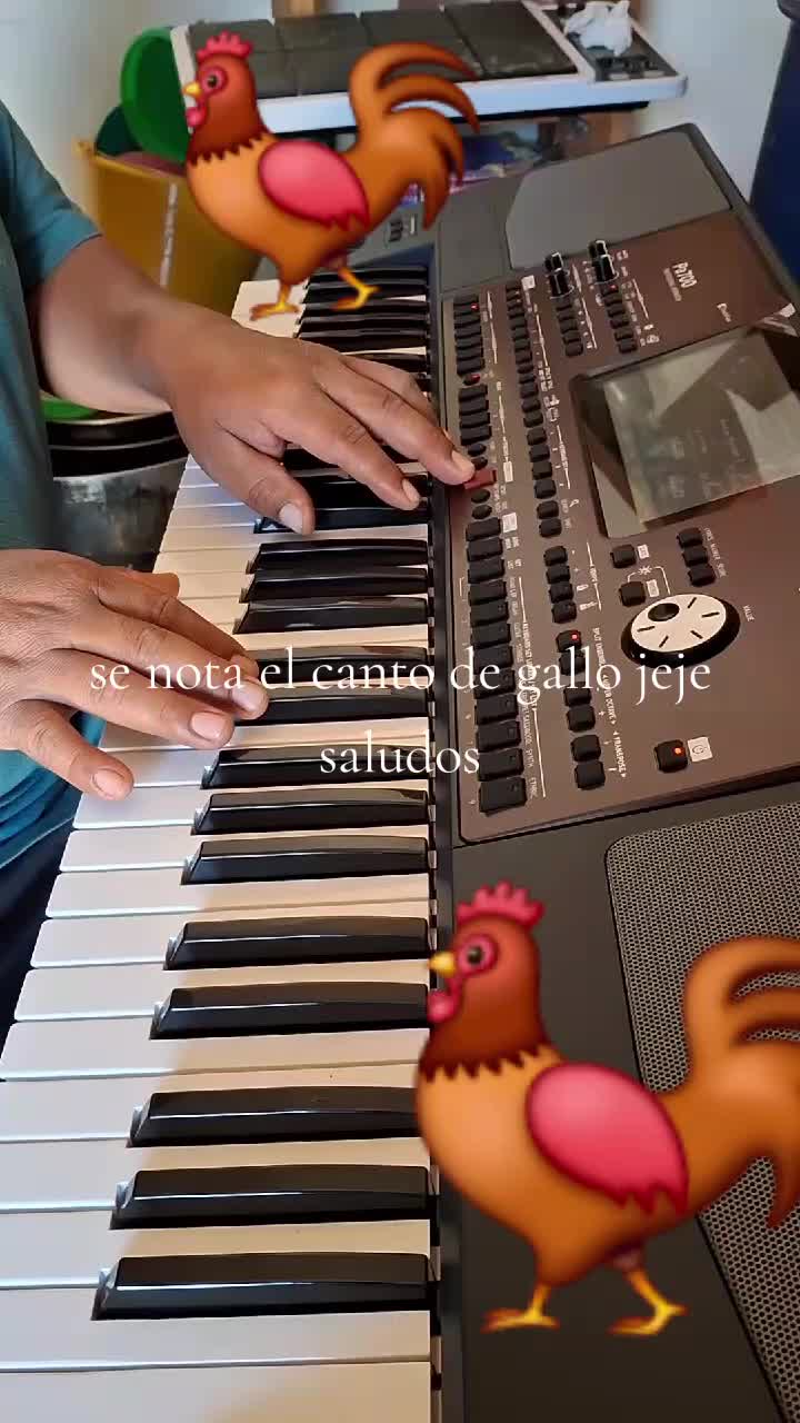 @csAlejandro