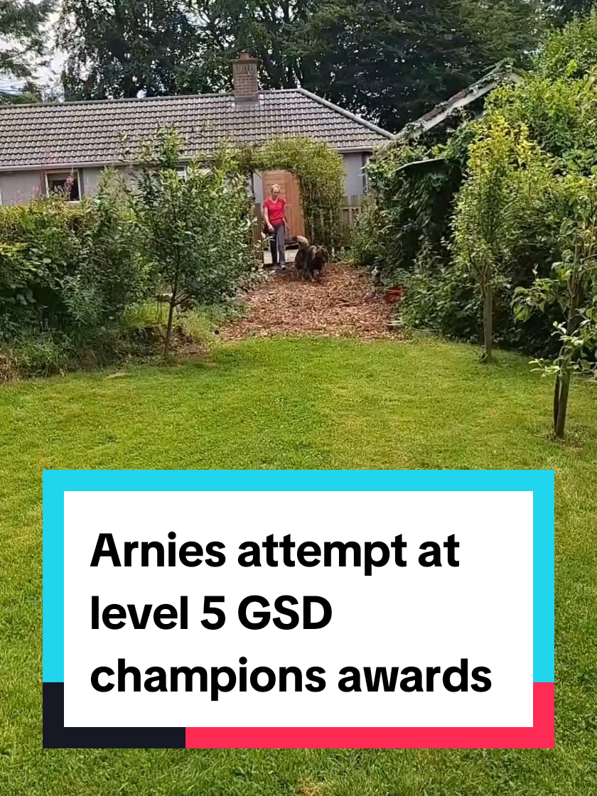 @Arnie 🇪🇺