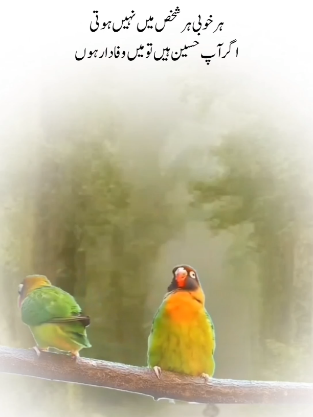 @𝗵𝗮𝘀𝗮𝗻 𝗔𝗯𝗯𝗼𝘁𝗮𝗯𝗮𝗱