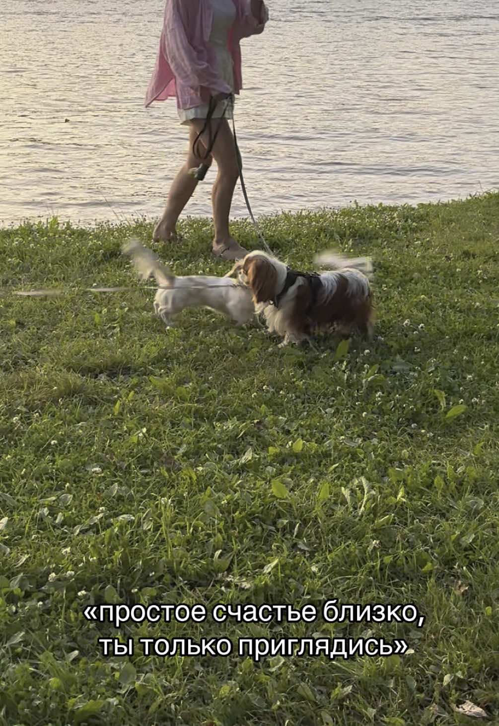 @соня