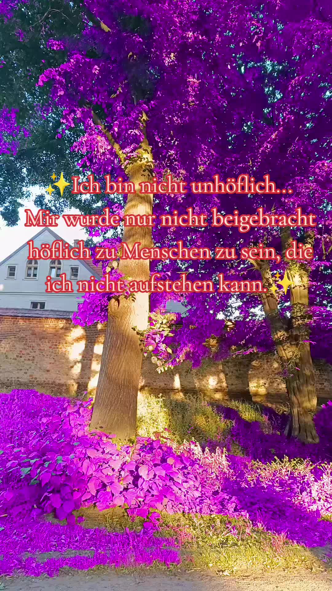 @Rainbowshit13🌺