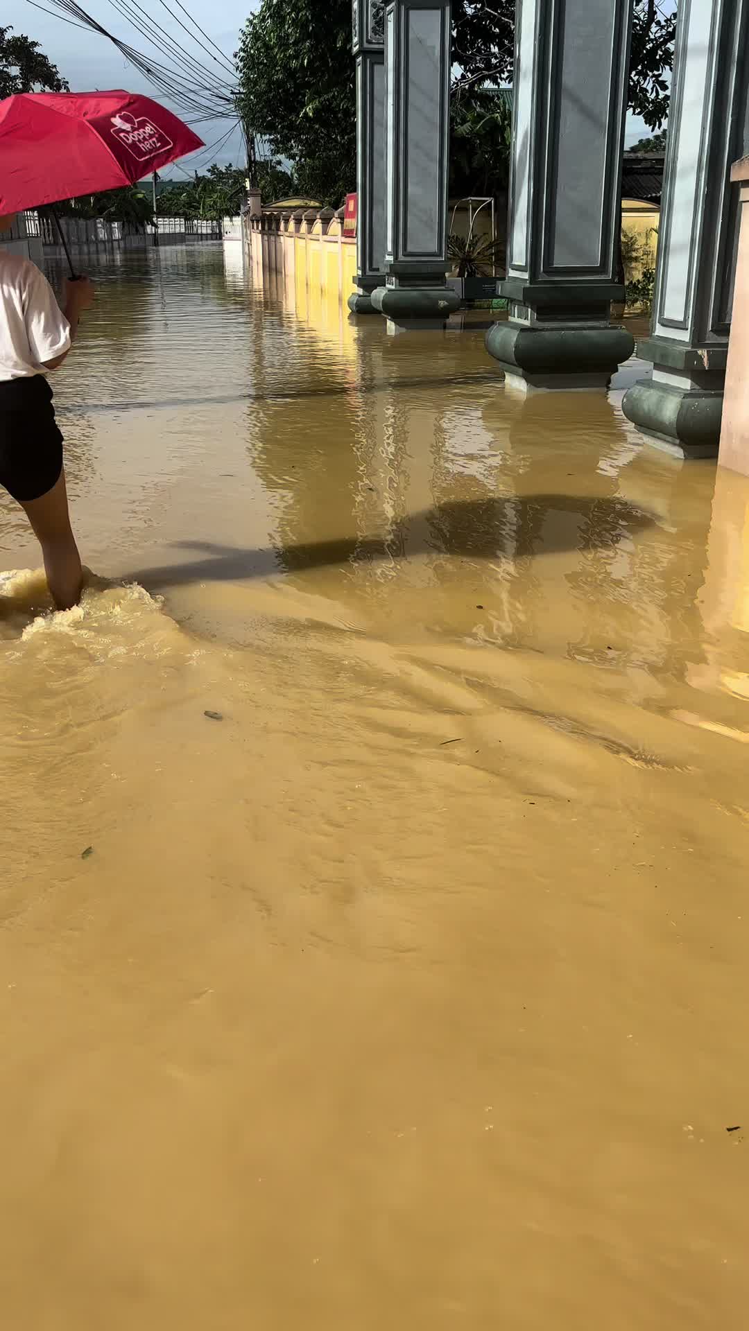 @Nguyễn Tr&agrave; My