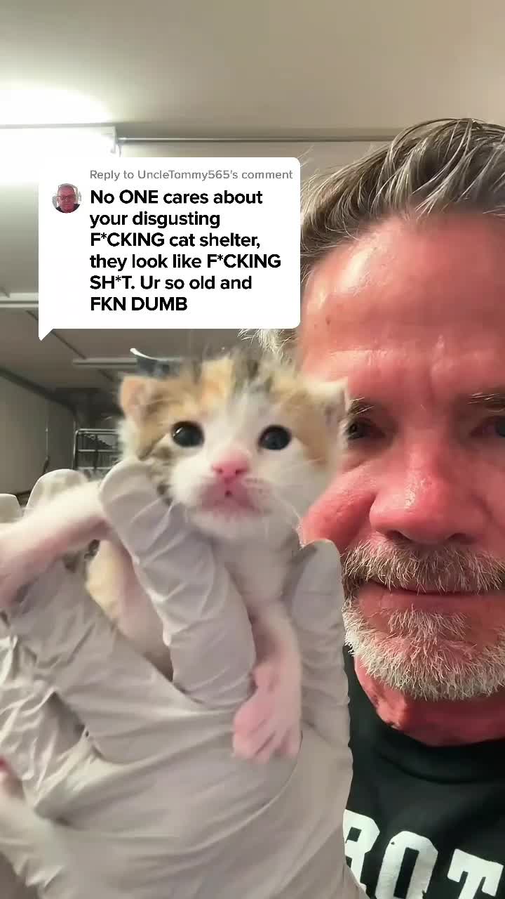 @Purry Paws
