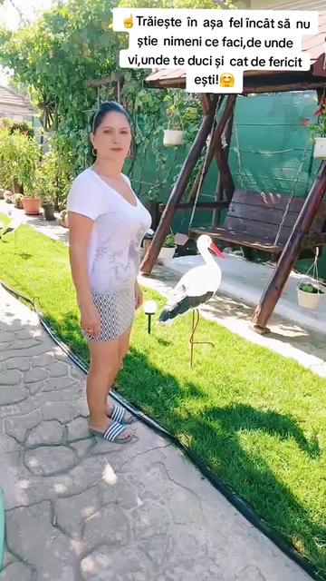 @mariana.iordache