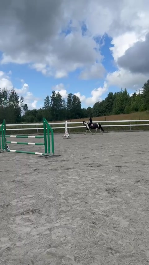 @kerstin🐴
