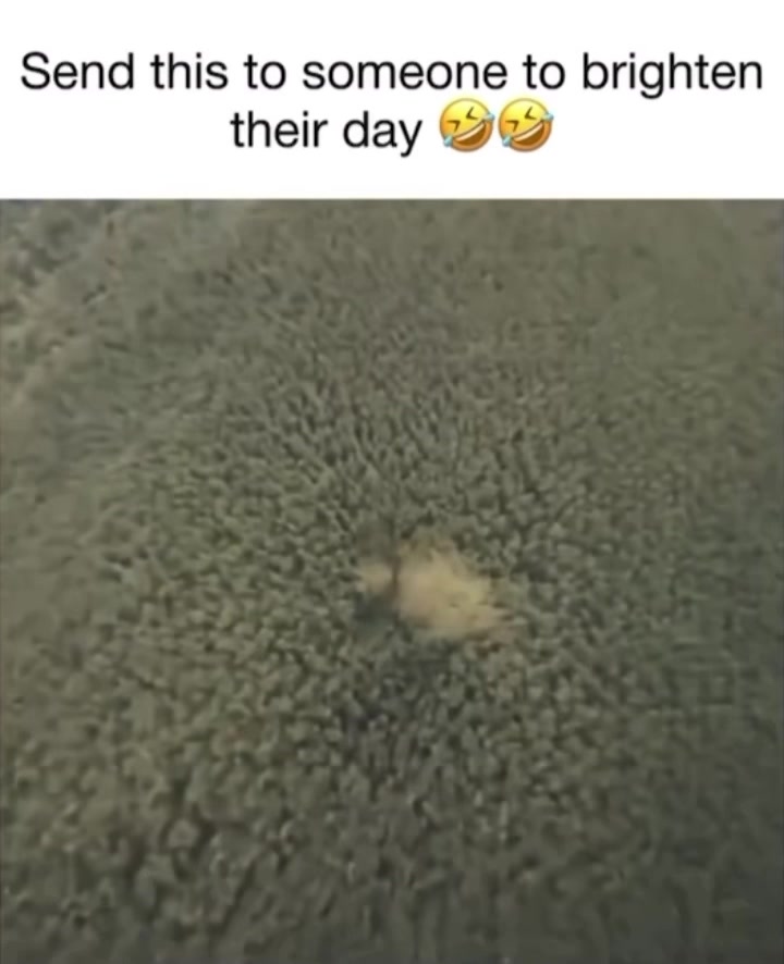 @Rando Whitey Stacy