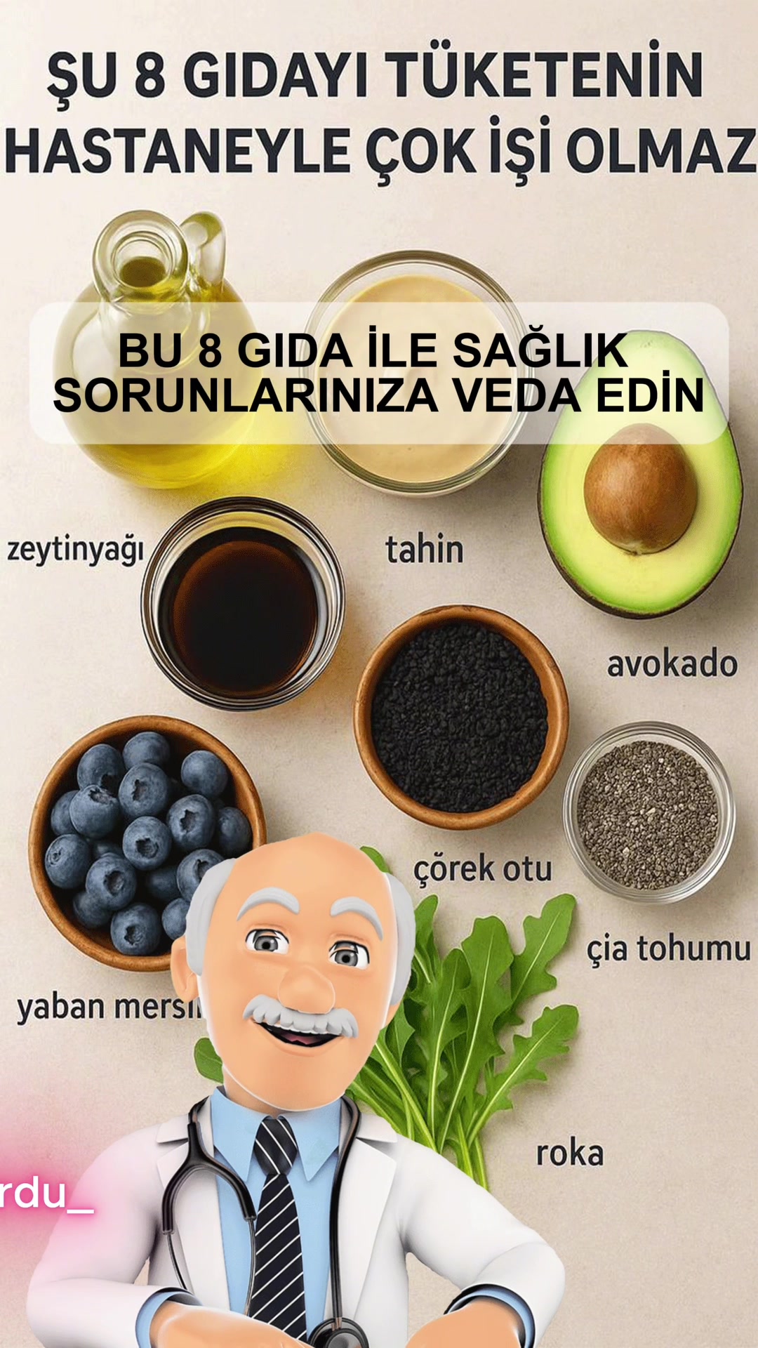 @Bilgi kurdum