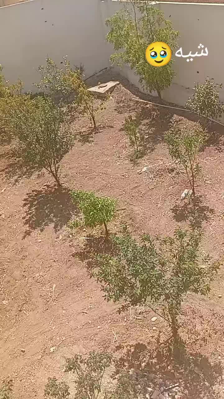 @💖 بنت شيه ✨