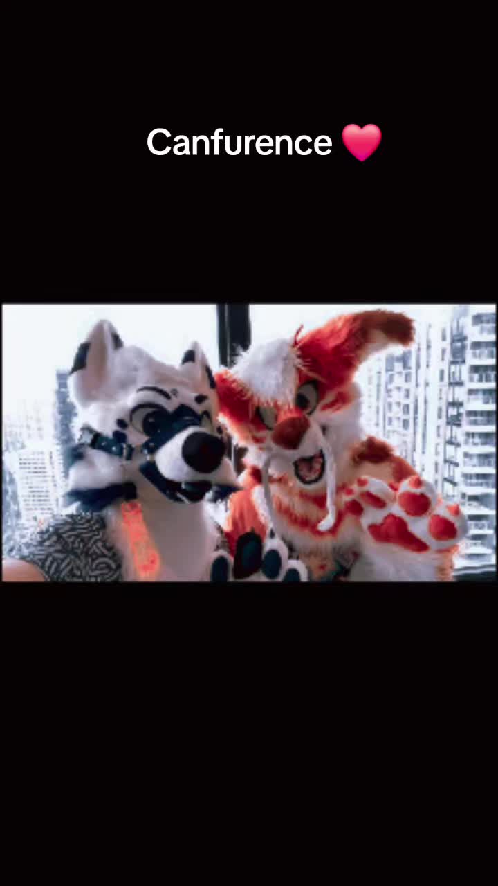 @Chaosfox