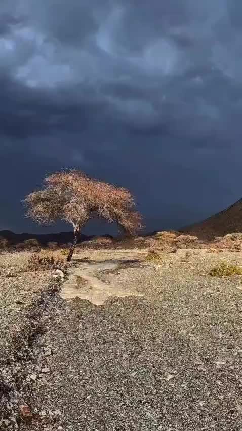 @IMTBaloch