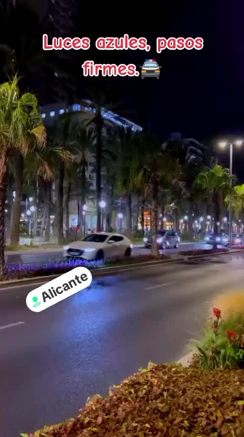@🚗 Rent a Car | ✈️ Travel🇪🇸