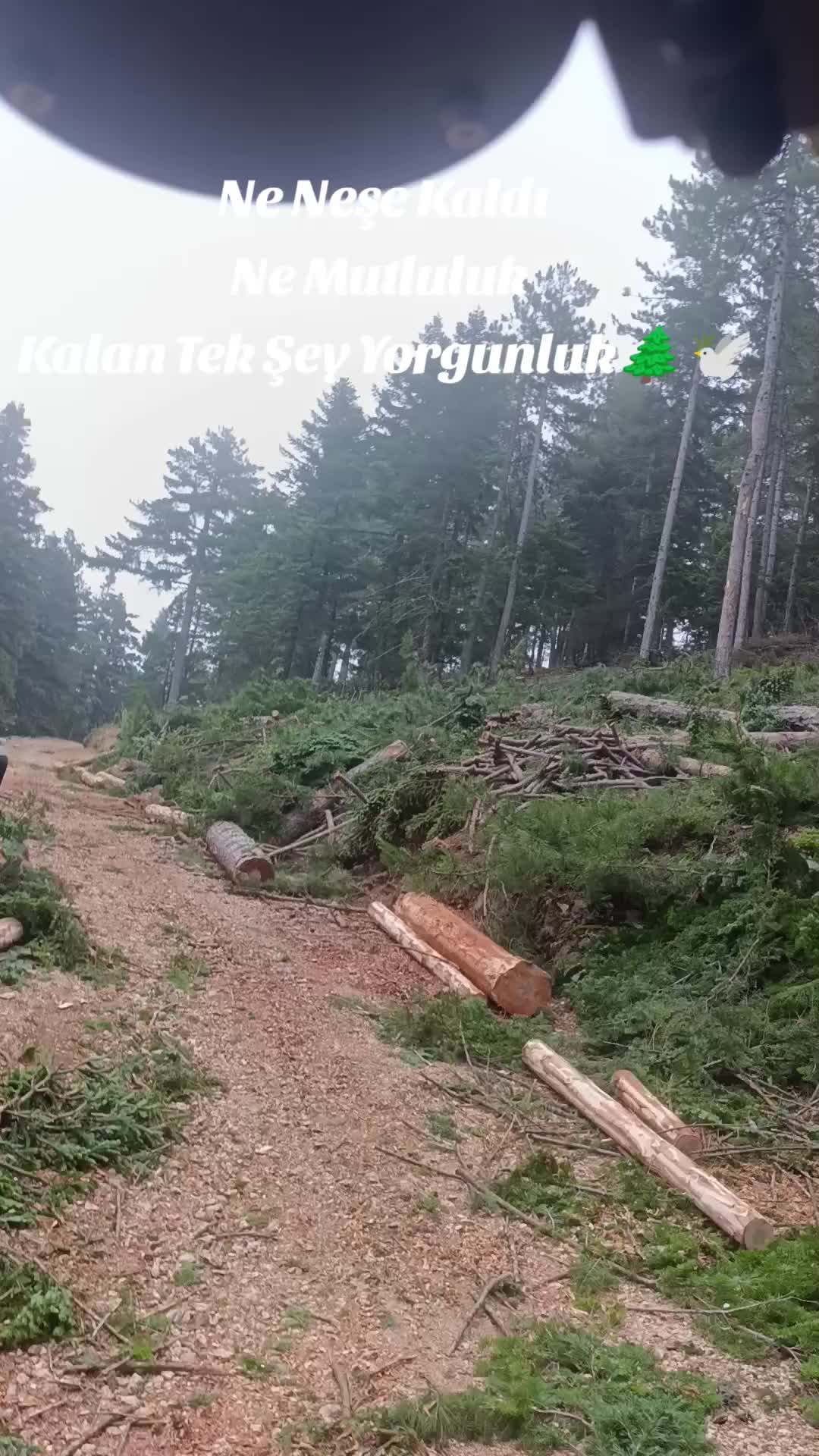 @ibrahim odabaş