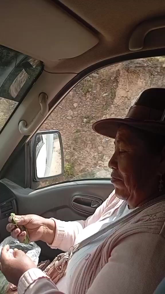 @Veronica Arosquipa