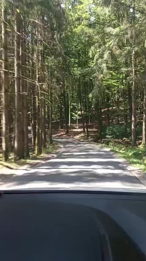 @user 12345
