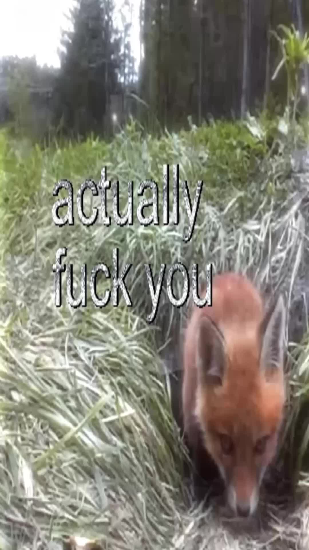 @gerhl