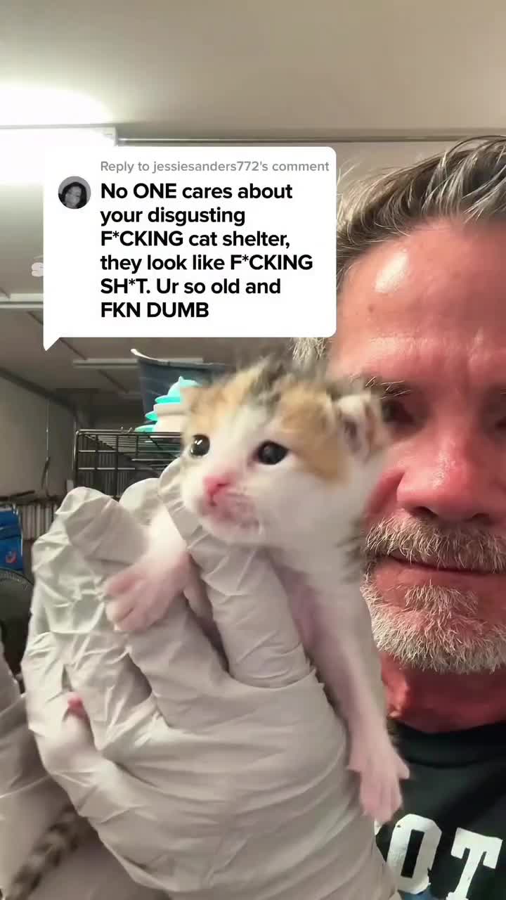 @Purry Paws