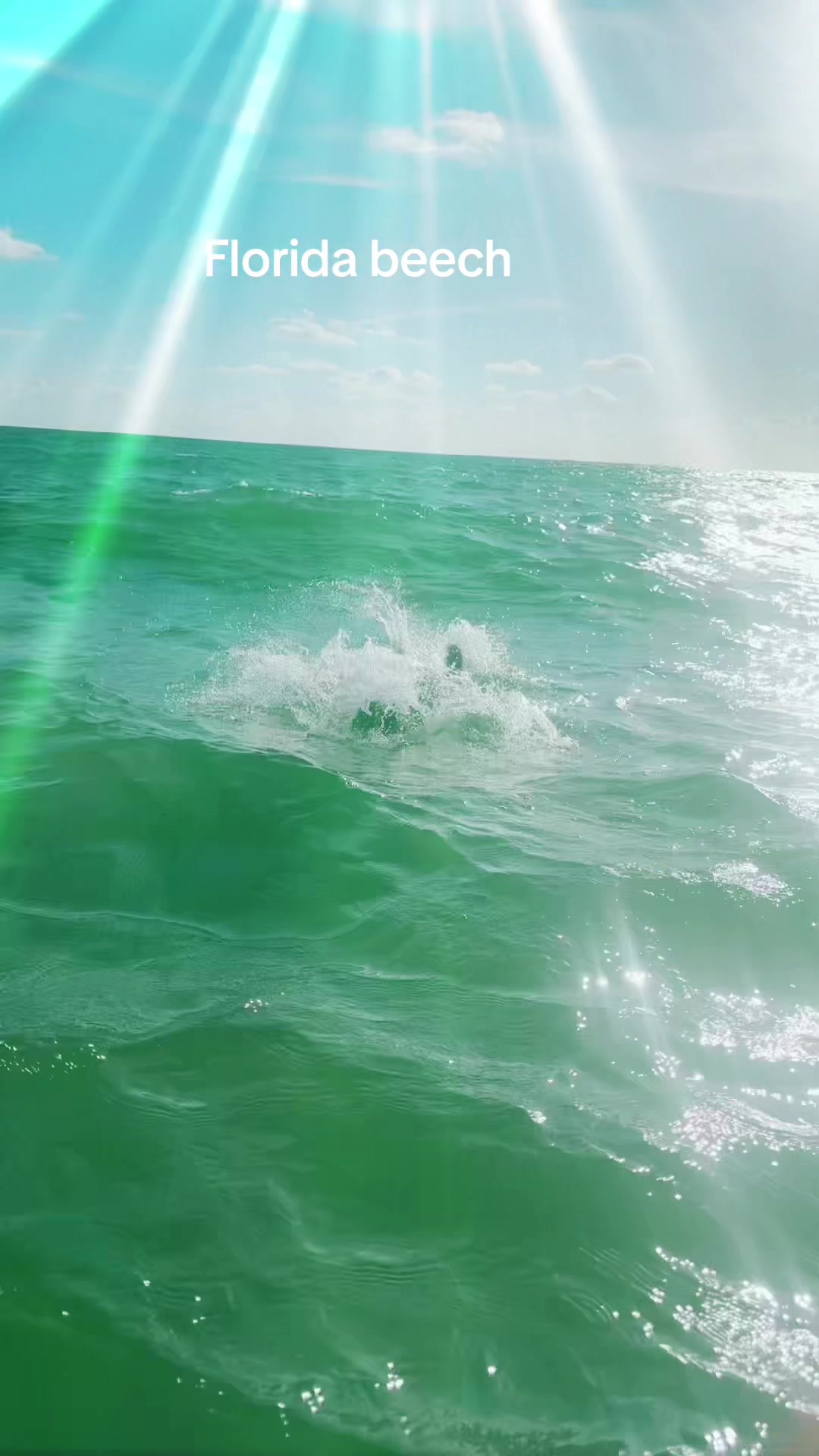 @Rupi🤘