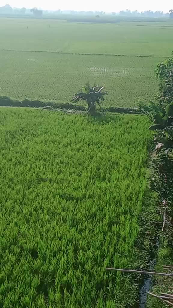 @@Ritesh chauhan😈&hearts;️🤟