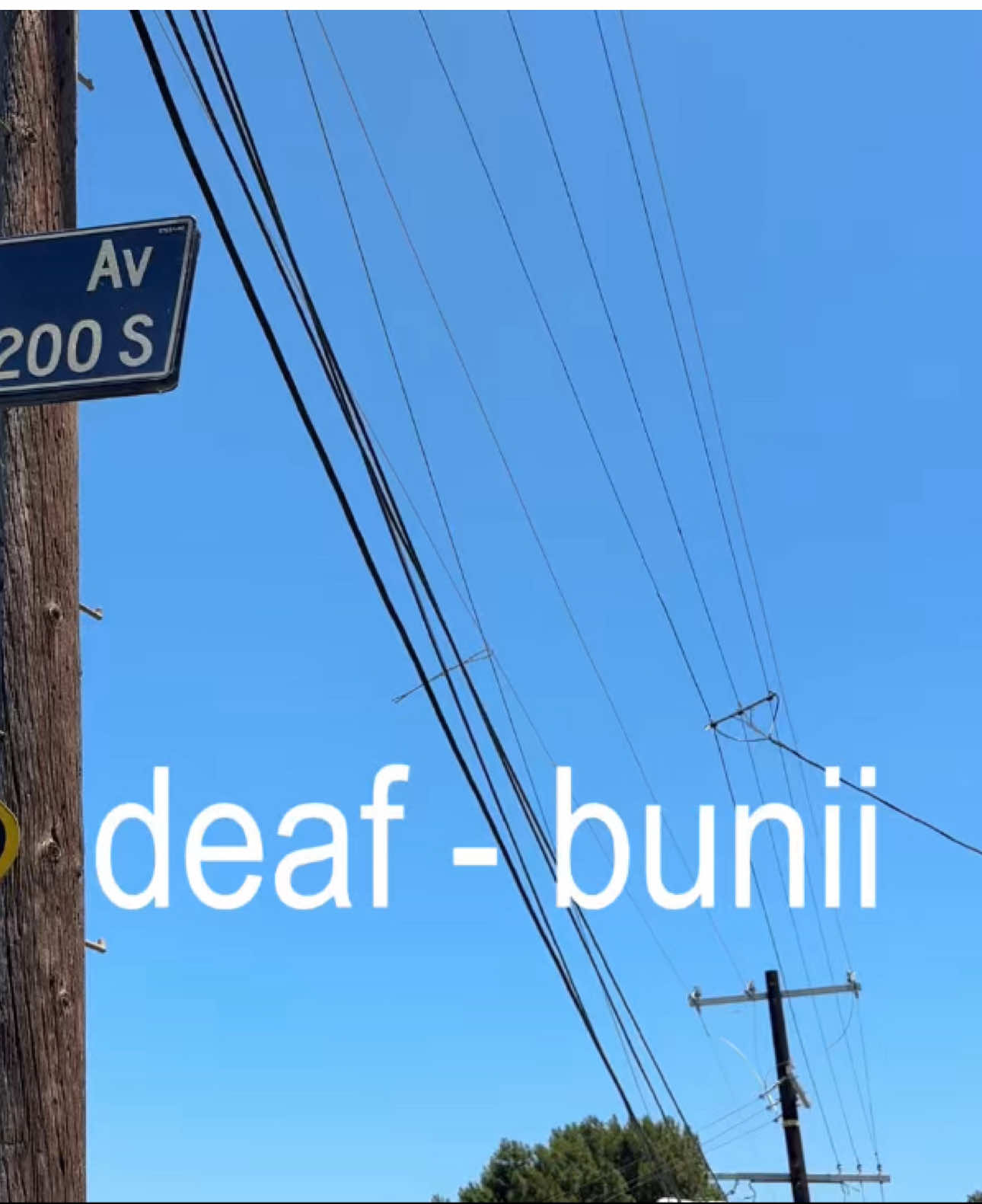 @hugo