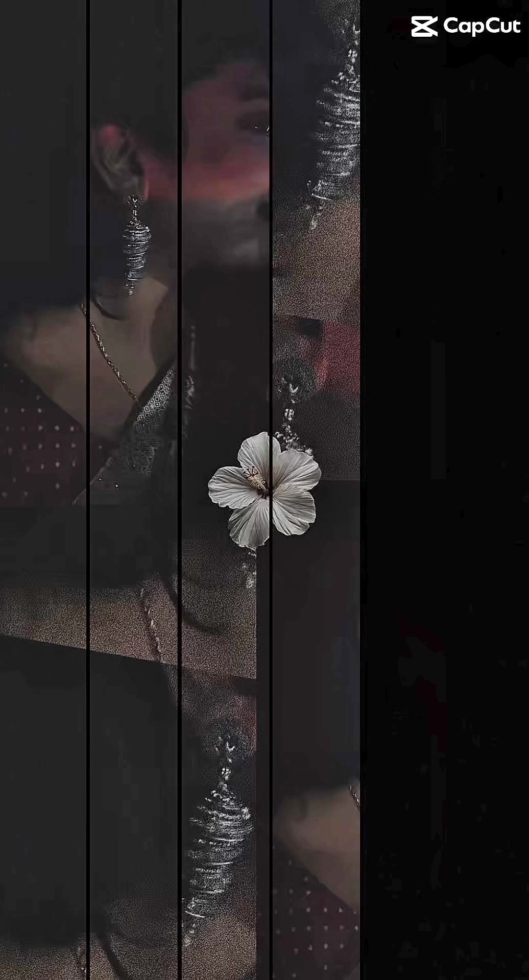 @Thamilsv