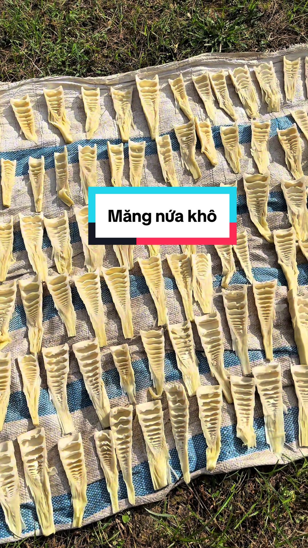 @Sửu Nhii
