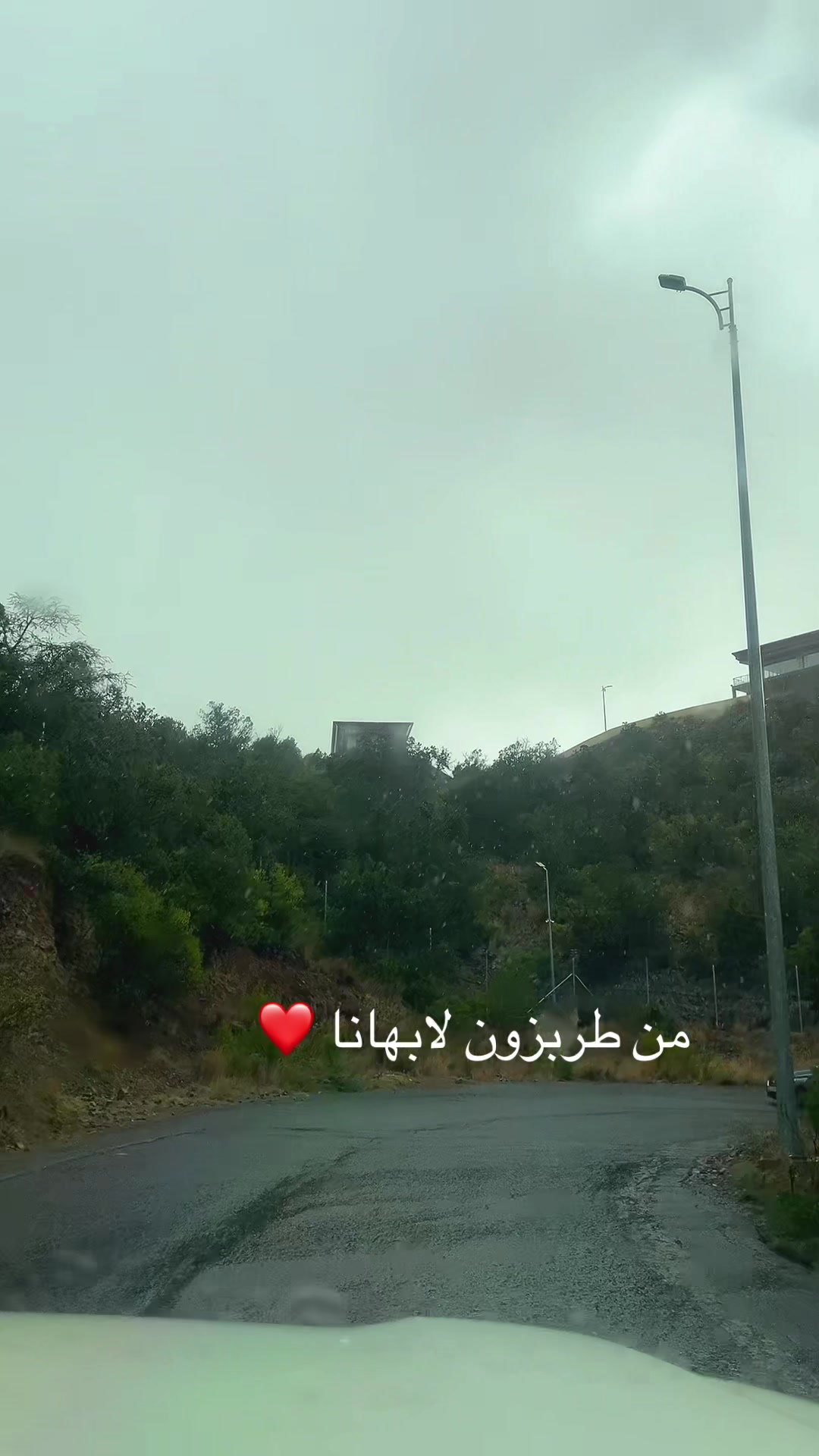 @مها الطايف