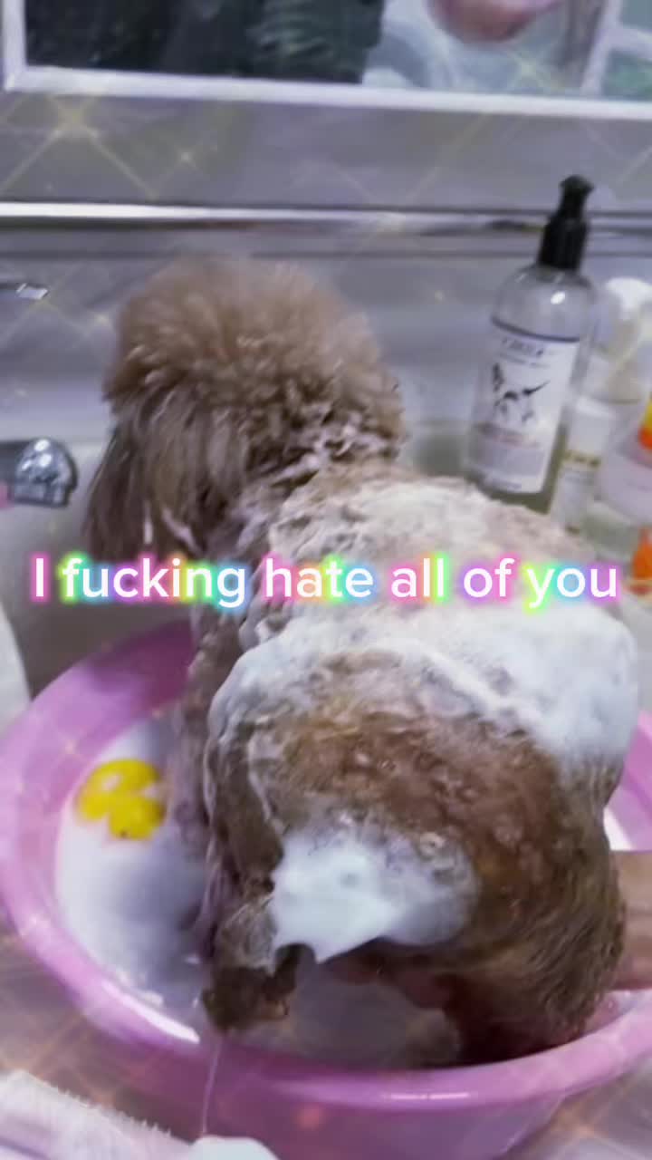 @mulch muncher