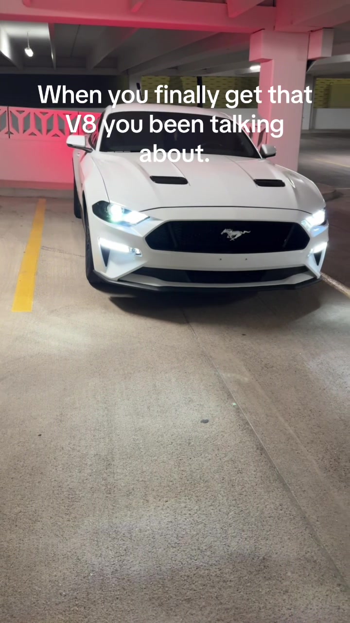 @5.0 Snowyy